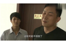 越城专业催债公司的市场需求和前景分析